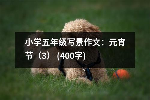 小學(xué)五年級(jí)寫景作文：元宵節(jié)（3） (400字)