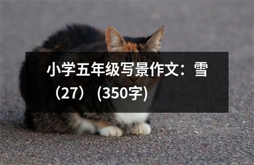 小學五年級寫景作文：雪（27） (350字)