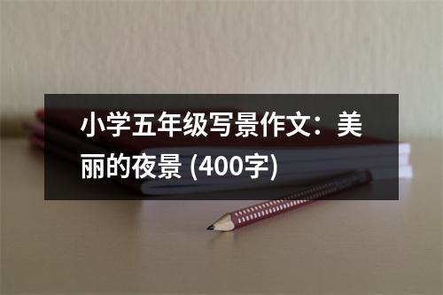 小學五年級寫景作文：美麗的夜景 (400字)
