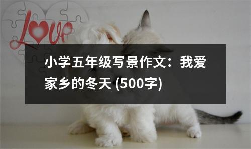 小學五年級寫景作文：我愛家鄉(xiāng)的冬天 (500字)