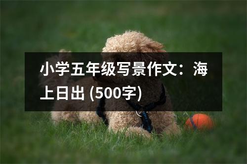 小學五年級寫景作文：海上日出 (500字)