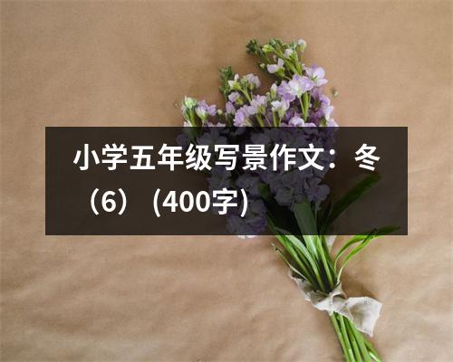 小學(xué)五年級(jí)寫景作文：冬（6） (400字)