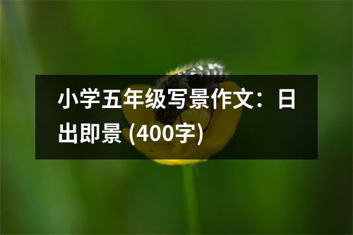 小學(xué)五年級(jí)寫(xiě)景作文：日出即景 (400字)