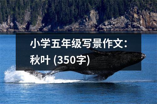 小學(xué)五年級寫景作文：秋葉 (350字)