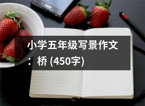 小學(xué)五年級寫景作文：橋 (450字)