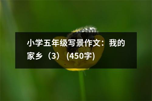 小學(xué)五年級寫景作文：我的家鄉(xiāng)（3） (450字)