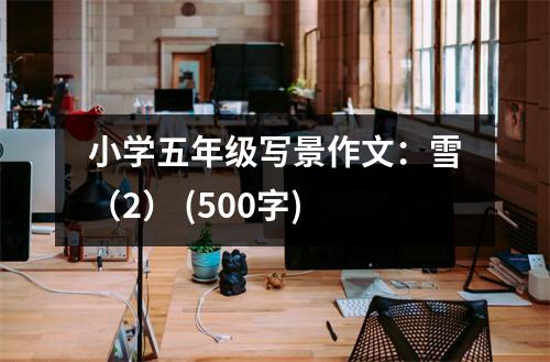 小學(xué)五年級寫景作文：雪（2） (500字)