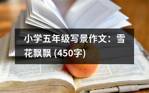 小學(xué)五年級寫景作文：雪花飄飄 (450字)