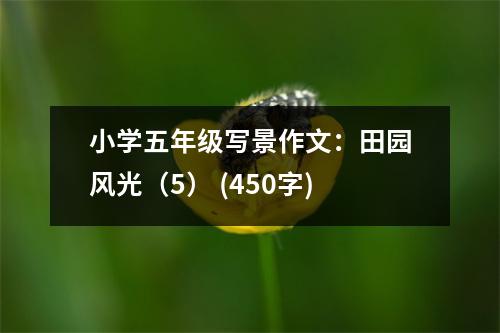 小學(xué)五年級(jí)寫(xiě)景作文：田園風(fēng)光（5） (450字)