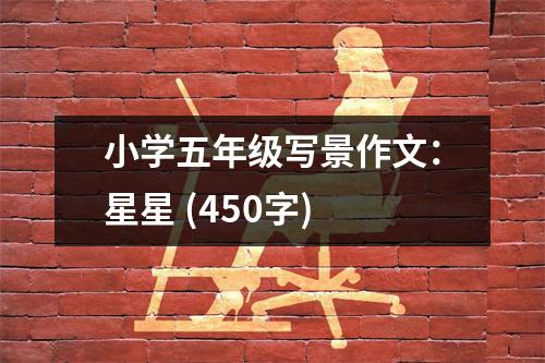 小學(xué)五年級(jí)寫(xiě)景作文：星星 (450字)