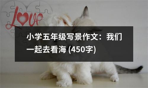 小學(xué)五年級寫景作文：我們一起去看海 (450字)