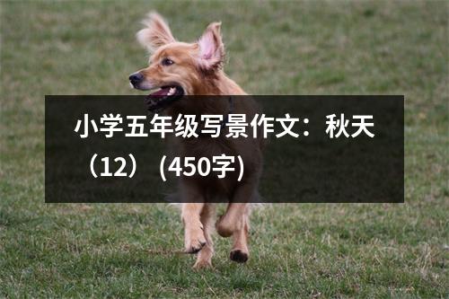 小學(xué)五年級寫景作文：秋天（12） (450字)