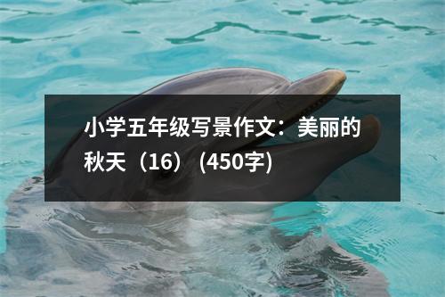 小學(xué)五年級寫景作文：美麗的秋天（16） (450字)