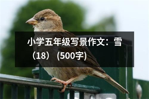 小學(xué)五年級寫景作文：雪（18） (500字)