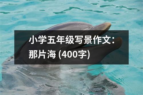 小學五年級寫景作文：那片海 (400字)