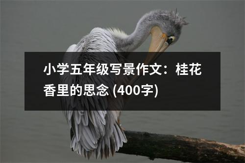 小學五年級寫景作文：桂花香里的思念 (400字)