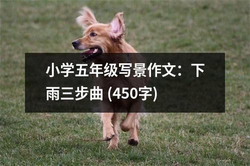 小學(xué)五年級寫景作文：下雨三步曲 (450字)