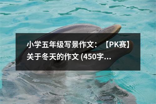 小學(xué)五年級寫景作文：【PK賽】關(guān)于冬天的作文 (450字)