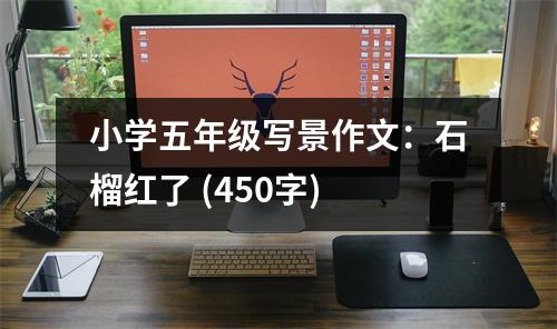 小學(xué)五年級(jí)寫景作文：石榴紅了 (450字)