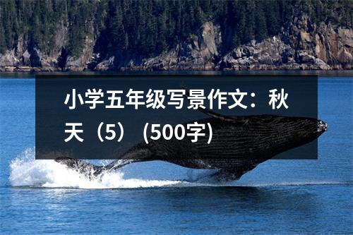 小學(xué)五年級寫景作文：秋天（5） (500字)