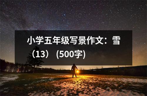 小學(xué)五年級寫景作文：雪（13） (500字)