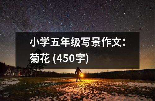 小學(xué)五年級(jí)寫景作文：菊花 (450字)