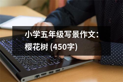 小學(xué)五年級(jí)寫(xiě)景作文：櫻花樹(shù) (450字)