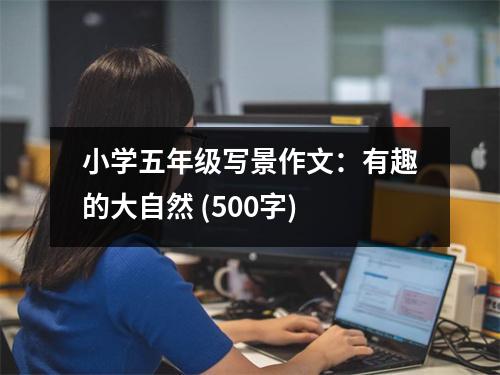 小學(xué)五年級(jí)寫(xiě)景作文：有趣的大自然 (500字)