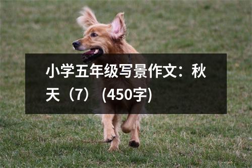 小學(xué)五年級(jí)寫景作文：秋天（7） (450字)
