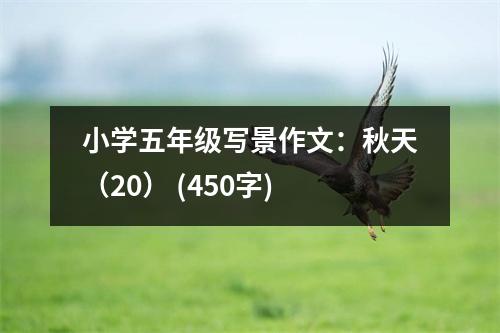 小學(xué)五年級寫景作文：秋天（20） (450字)