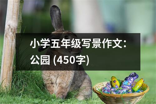小學(xué)五年級寫景作文：公園 (450字)