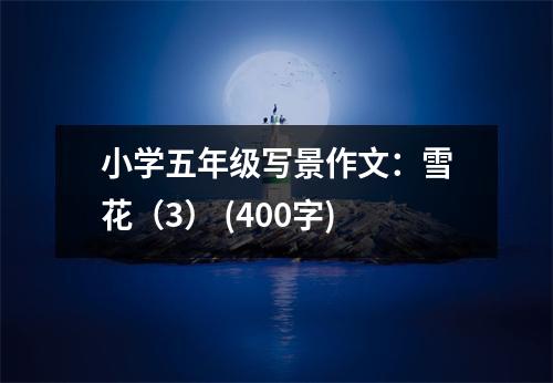 小學五年級寫景作文：雪花（3） (400字)