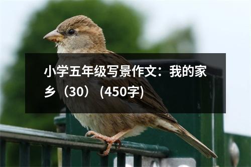 小學(xué)五年級(jí)寫景作文：我的家鄉(xiāng)（30） (450字)