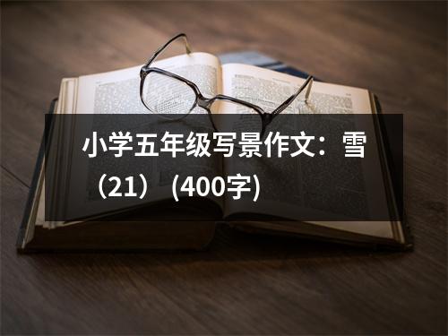 小學(xué)五年級(jí)寫(xiě)景作文：雪（21） (400字)