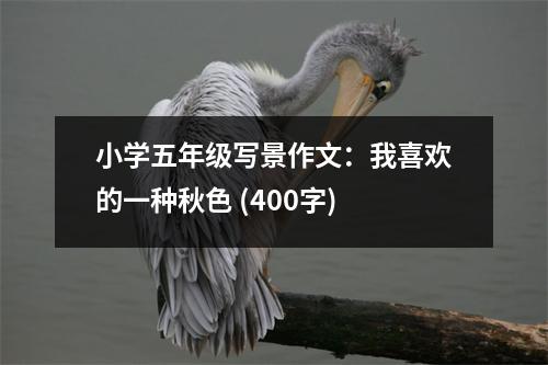 小學(xué)五年級寫景作文：我喜歡的一種秋色 (400字)