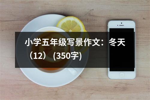 小學(xué)五年級(jí)寫景作文：冬天（12） (350字)