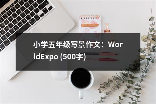 小學(xué)五年級(jí)寫景作文：WorldExpo (500字)
