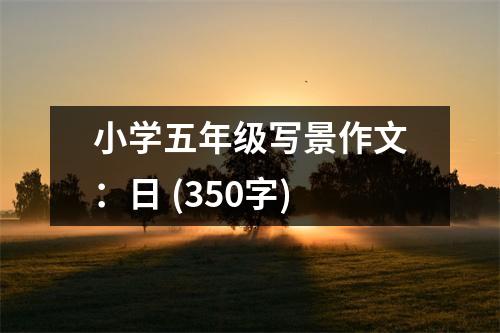 小學(xué)五年級(jí)寫(xiě)景作文：日 (350字)