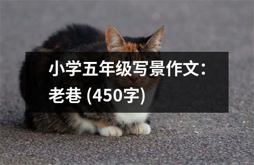 小學(xué)五年級寫景作文：老巷 (450字)