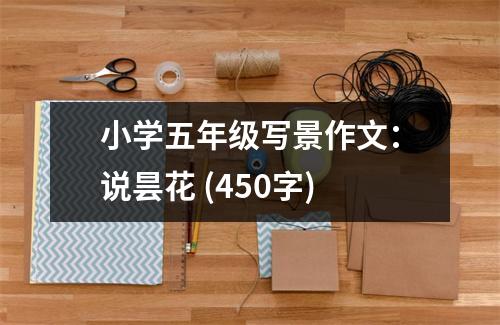 小學(xué)五年級寫景作文：說曇花 (450字)