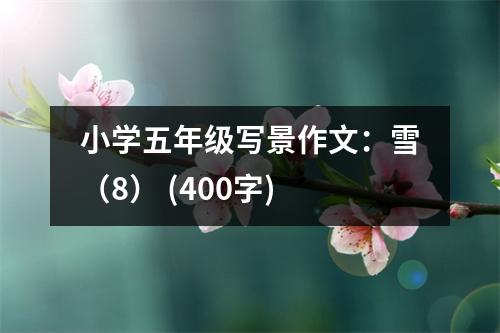 小學(xué)五年級寫景作文：雪（8） (400字)