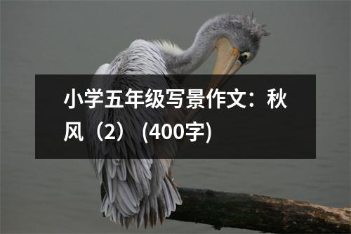 小學(xué)五年級寫景作文：秋風(fēng)（2） (400字)