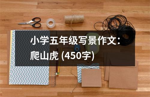 小學(xué)五年級寫景作文：爬山虎 (450字)