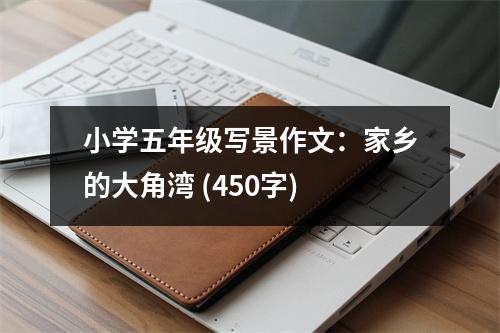 小學(xué)五年級寫景作文：家鄉(xiāng)的大角灣 (450字)