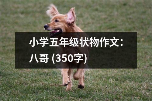 小學(xué)五年級狀物作文：八哥 (350字)