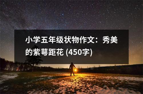 小學(xué)五年級狀物作文：秀美的紫萼距花 (450字)