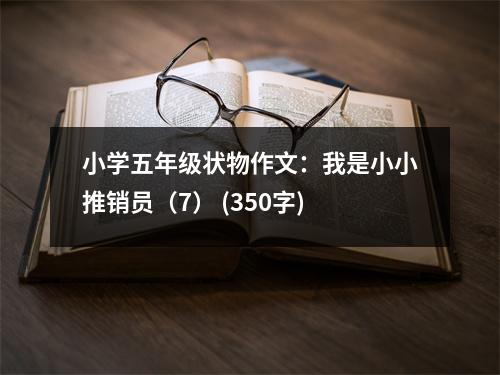 小學(xué)五年級狀物作文：我是小小推銷員（7） (350字)