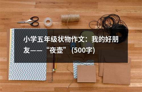 小學五年級狀物作文：我的好朋友——“夜壺” (500字)