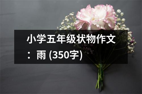 小學五年級狀物作文：雨 (350字)
