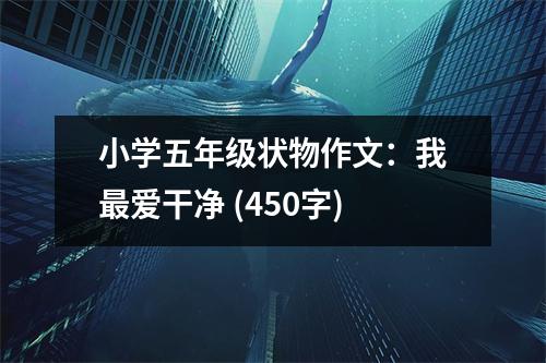 小學(xué)五年級狀物作文：我最愛干凈 (450字)